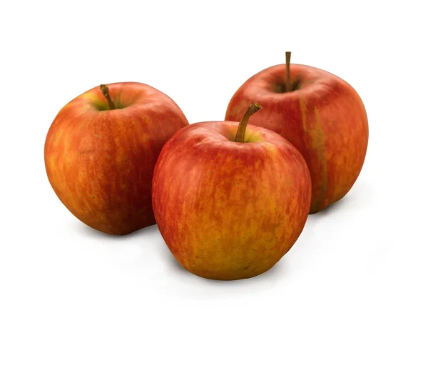 Органические яблоки Фальстафа — стоковое фото