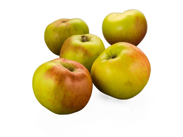 Органические яблоки Брамли изолированы на белом — стоковое фото