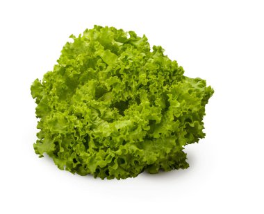 Organic Green Batavia lettuce clipart