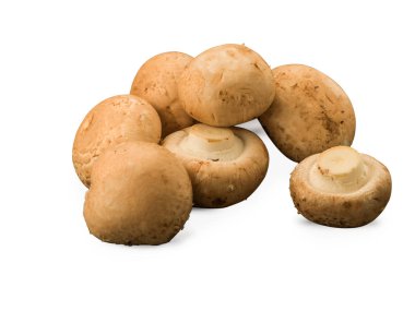 Organik kahverengi mantar izole