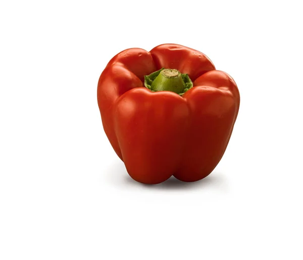 Pepper Merah Organik — Stok Foto