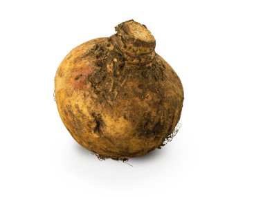 Organik kirli İsveçli