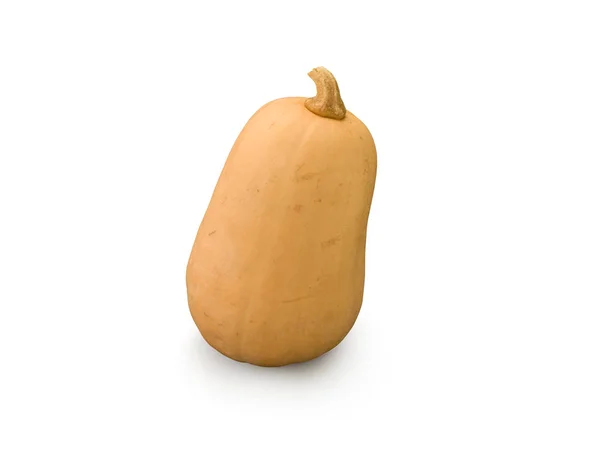 Organische butternut squash — Stockfoto