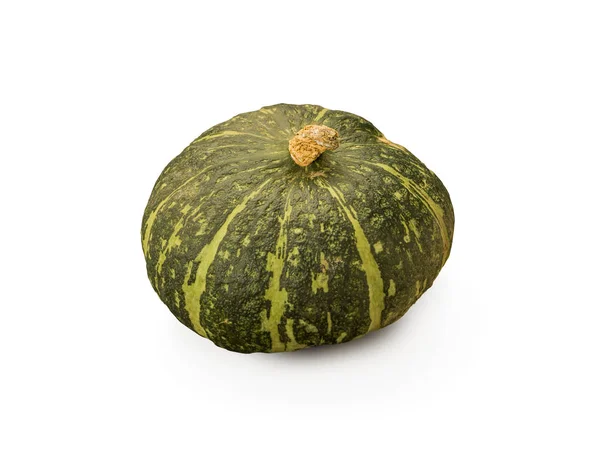 Biologische groene Squash — Stockfoto