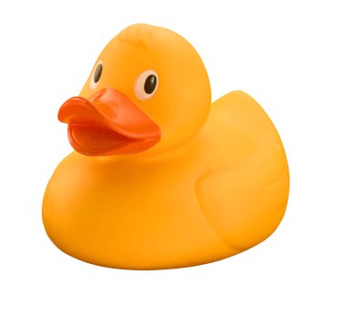 beyaz zemin üzerinde izole lastik ördek 