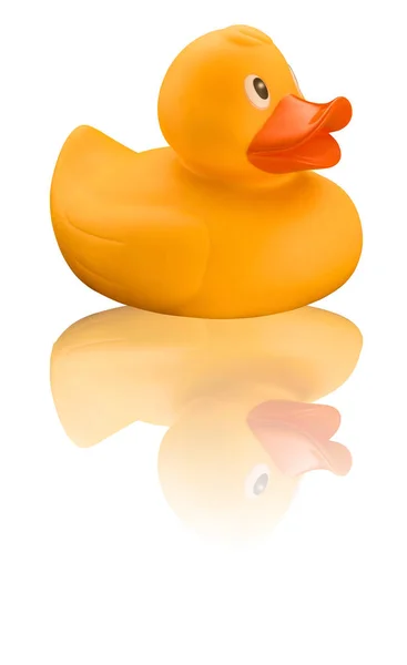 Isolated rubber duck on white background with reflection — Stock Photo, Image