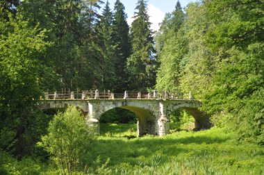 Ormanın içinde Şeytan Köprüsü
