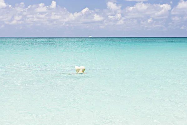 Hombre nadando con una gorra en el mar —  Fotos de Stock
