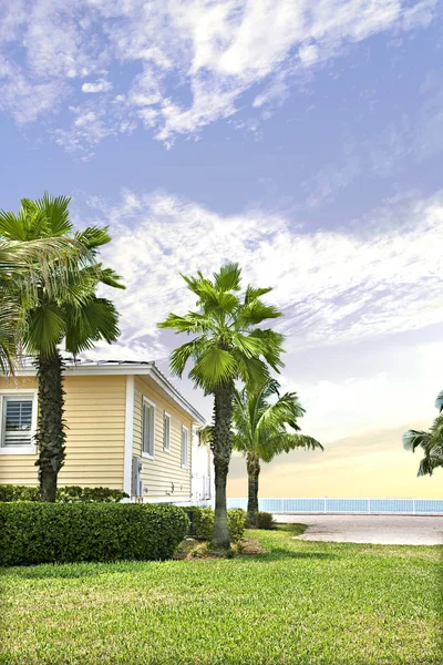 Palm tree garden near the sea and blue sky view — Stock Photo, Image