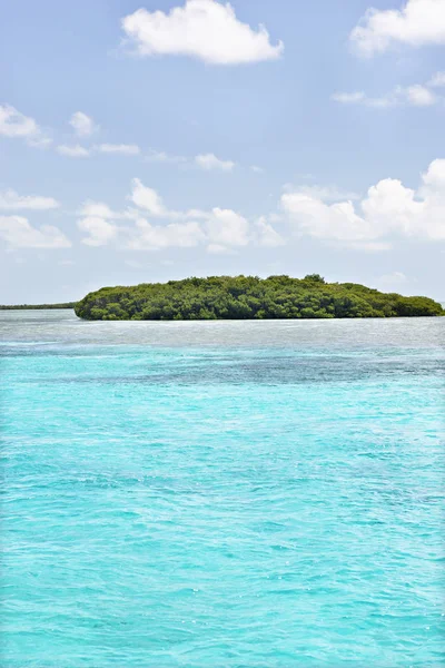 Piękna wyspa na morzu z drzew — Zdjęcie stockowe