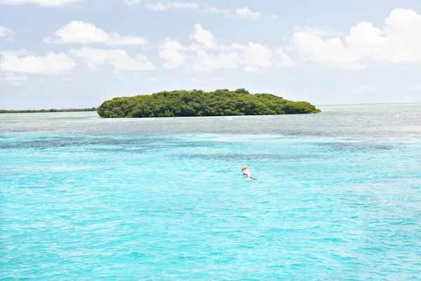 Isla colorida con árboles en el mar — Foto de Stock