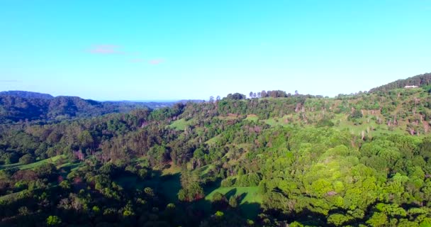 Drone Video Wild Australian Nature Byron Bay Australia — Stock Video