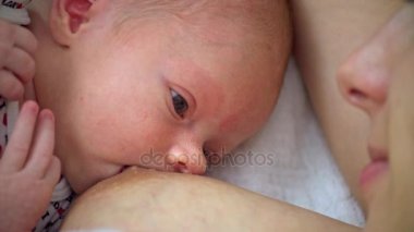 Anne yeni doğmuş bebeğini emziriyor.