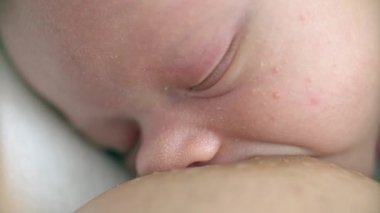 Anne yeni doğmuş bebeğini emziriyor.