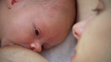 Anne yeni doğmuş bebeğini emziriyor.