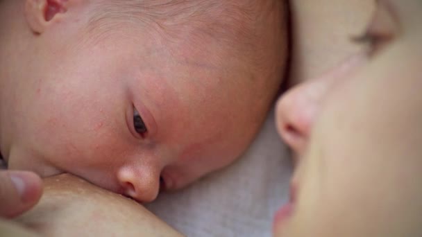 Madre amamantando a su bebé recién nacido — Vídeo de stock