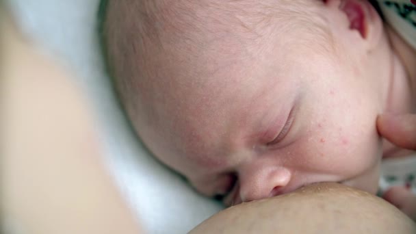 Mãe amamentando seu bebê recém-nascido — Vídeo de Stock