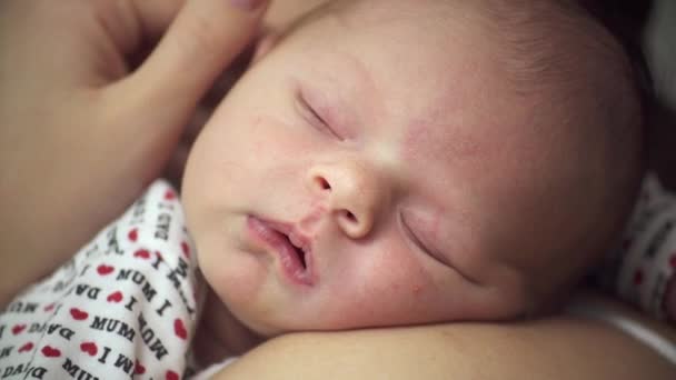 Mãe Stroking bebê recém-nascido dormindo Closeup ombro — Vídeo de Stock