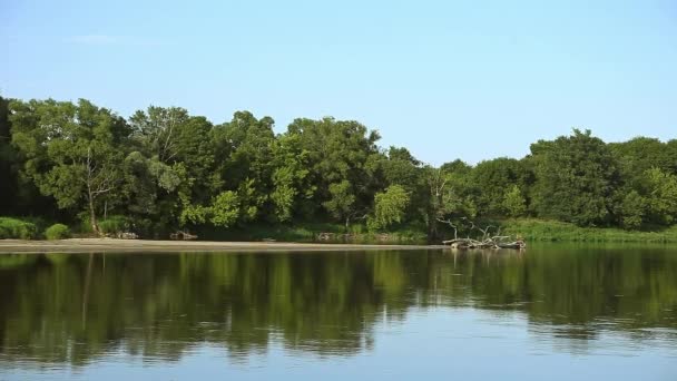 Nature Contexte Forêt Rivière qui coule paisible 