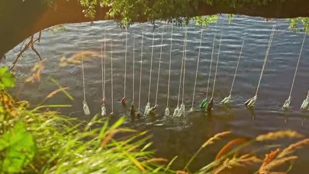 Garrafas com poemas dentro do rio Água Landart Festival — Vídeo de Stock