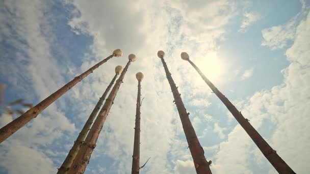 Tops of the Wooden Objects on a Background of Blue Sky Huge Matches — Stock Video