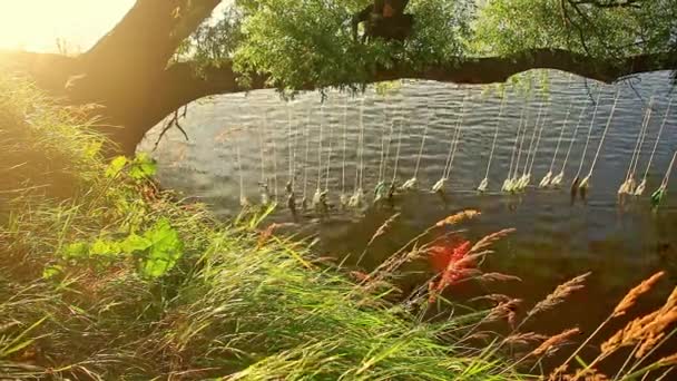 Bottles With Poems Inside River Water Landart Festival — Stock Video