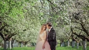 Gelin ve damat bir çiçek açan elma bahçesinde
