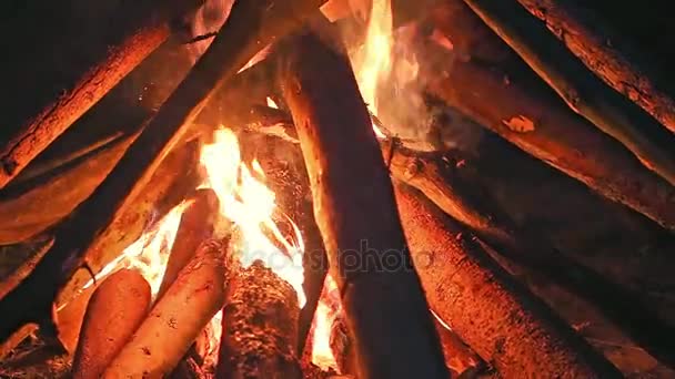 Пожар в лагере ночью — стоковое видео
