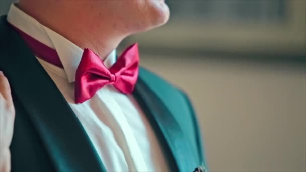 Groom in a Wedding Formal Costume with Butterfly. — Stock Video