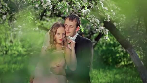 Braut und Bräutigam im blühenden Apfelgarten — Stockvideo