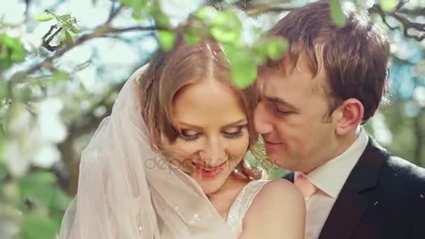 Жених и невеста в цветущем яблочном саду — стоковое видео