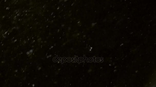 Zimowy Snowfall Slow Motion — Wideo stockowe