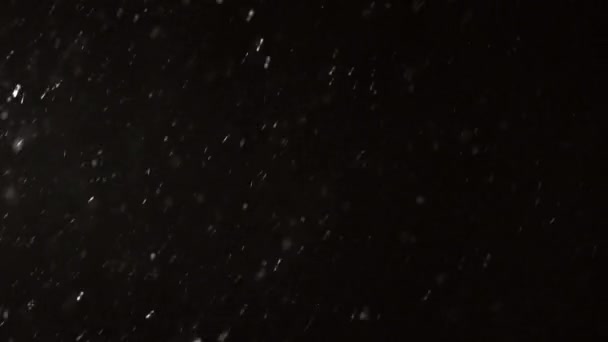 Wintersneeuwval Slow Motion — Stockvideo