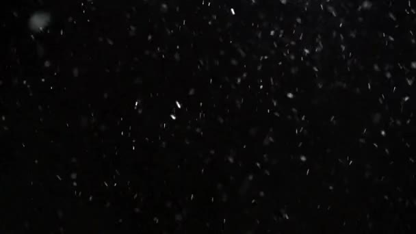 Wintersneeuwval Slow Motion — Stockvideo