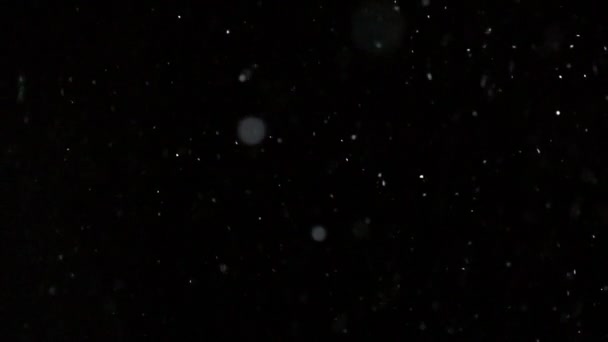 Hiver Chute de neige Mouvement lent 