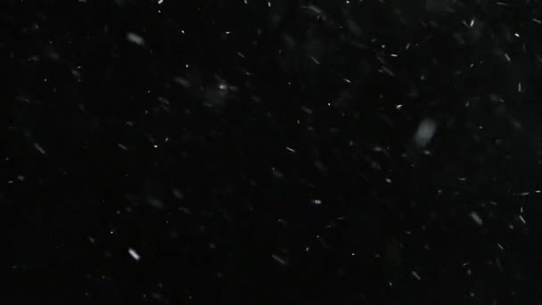 Téli havazás Lassú mozgás — Stock videók