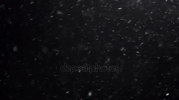 Wintersneeuwval Slow Motion — Stockvideo