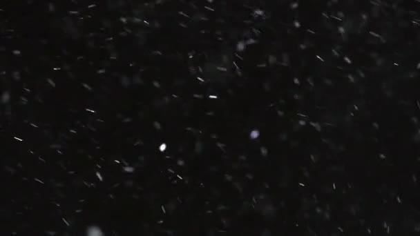 Zpomalení zimního sněžení — Stock video