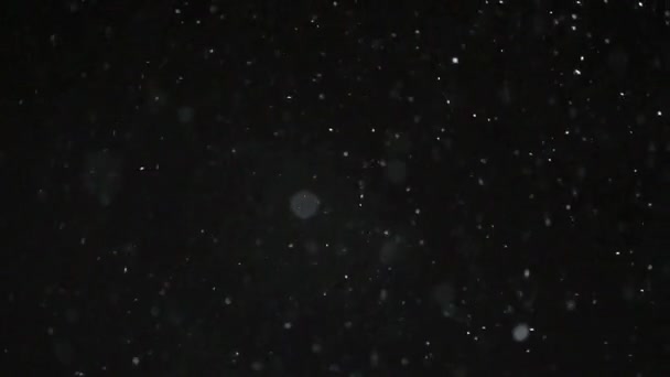 Hiver Chute de neige Mouvement lent 