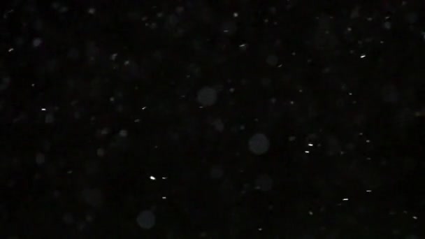 Hiver Chute de neige Mouvement lent 