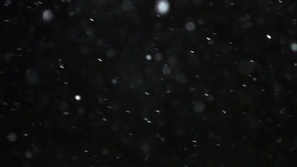 Wintersneeuwval Slow Motion — Stockvideo