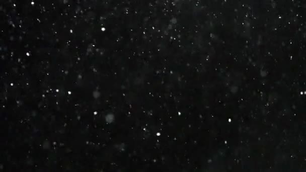 Χειμερινή χιονόπτωση αργή κίνηση — Αρχείο Βίντεο