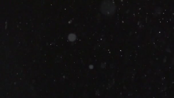 Vinter snöfall Slow Motion — Stockvideo