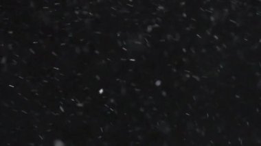 Kış Kış Yavaş Hareketi