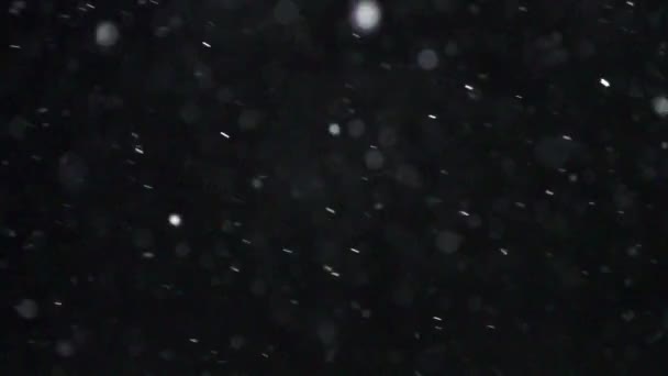 Hiver Chute de neige Mouvement lent 