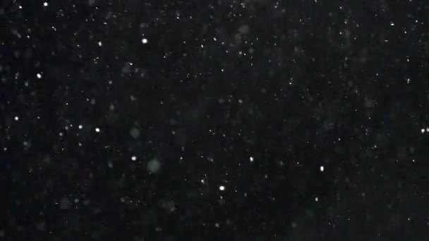 Invierno nevada cámara lenta — Vídeo de stock