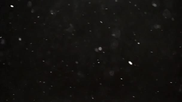 Зимний снегопад на черном фоне — стоковое видео