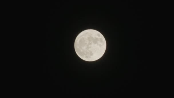 Noche de luna llena — Vídeo de stock