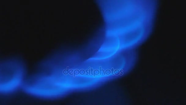 Gas Stove Burning — Stock Video