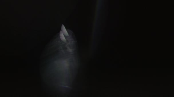 Lentille lumière torche 